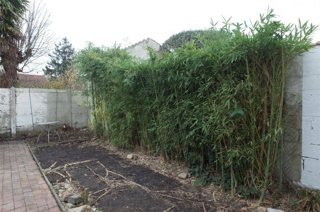 Echoppe avec jardin en location