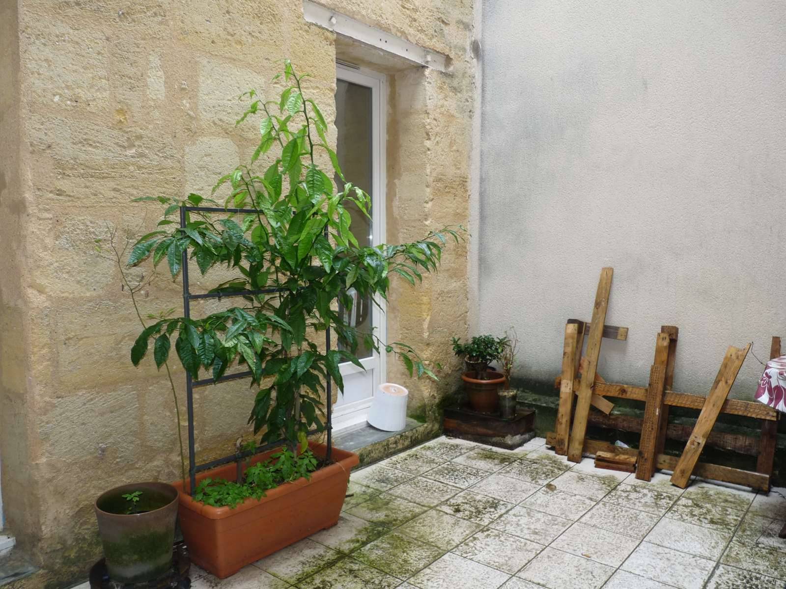 A LOUER MAISON AVEC PATIO ALPIERRE