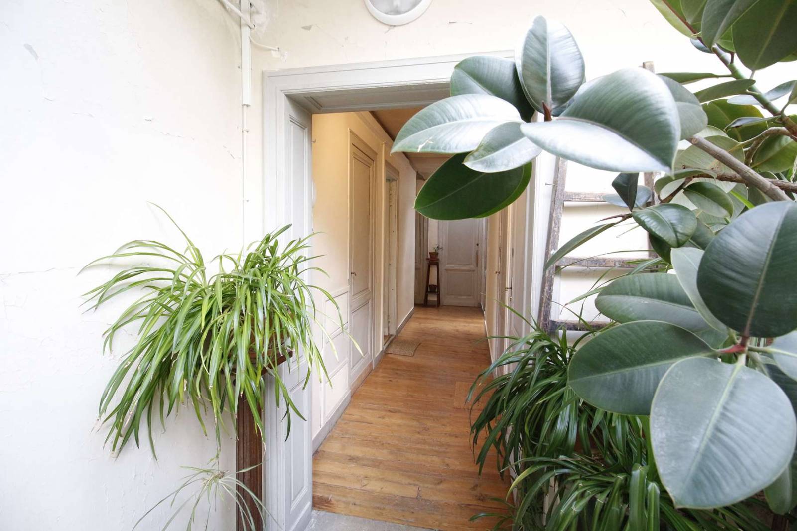 appartement a vendre par agence Alpierre au pied du tram hyper centre