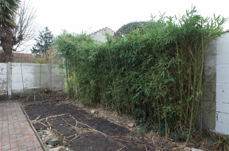 Echoppe avec jardin en location