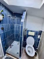 Appartement  T2-Bis - meublé de 53 m² avec poêle à bois et deux salles d’eau à louer à Bordeaux