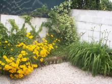 A LOUER MAISON BORDEAUX ORNANO AVEC JARDINET